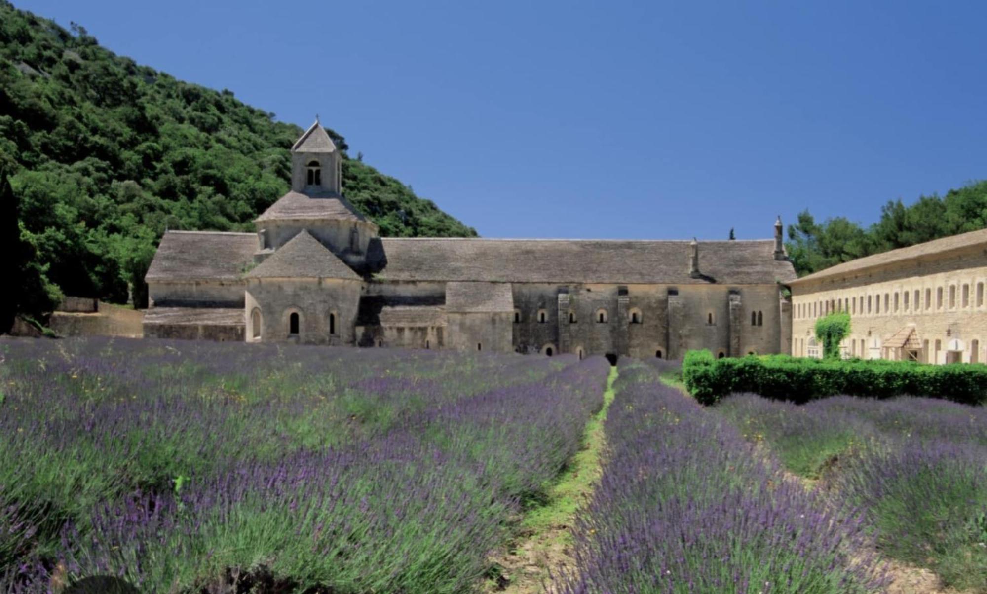 Maison d'hôtes Borie En Provence à Velleron Extérieur photo